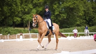 Charlotte Bordas se place idéalement avec AS Boy de Kappa dans le premier test du CCI 4*-S de Chaumont-en-Vexin