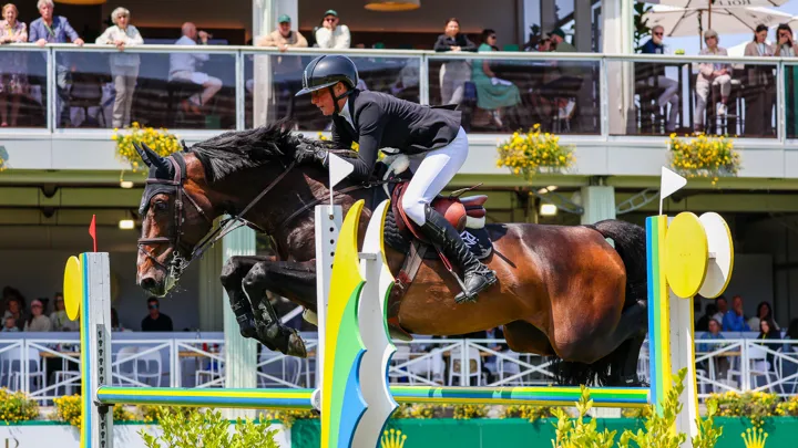 Yvonne et Christian Liégeois ont pris plaisir à voir leur star No-Comment de Septon évoluer au CSIO 5* de La Baule en juin dernier.
