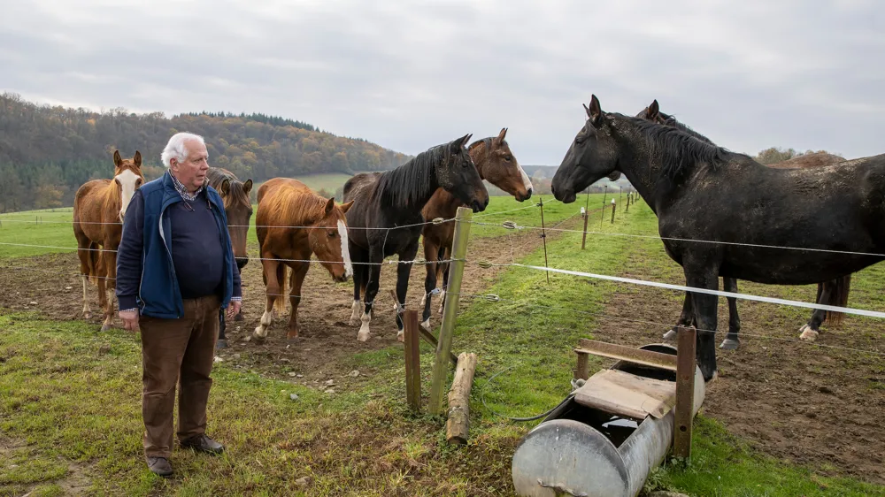 Christian Liégeois au milieu de ses chevaux, un jour de l’automne 2020.