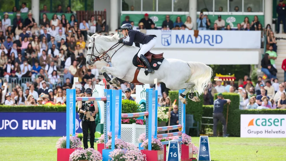 Gatsby du Tillard permet à Simon Delestre de remporter son premier Grand Prix 5* de la saison.