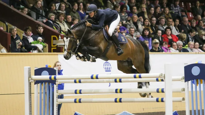 Balou du Rouet laat een indrukwekkende erfenis na in de springsport