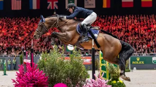 Het verhaal van Touardo Blue