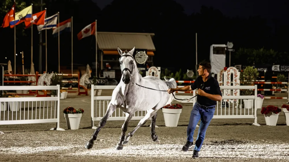 Celectrik D a fait sensation à Deauville et établi le nouveau record de l'agence Fences !