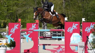 BWP-merrie Quick Diamant HR bevestigt klasse met zege in Compiègne