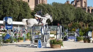 Devino vd Weretherbach Z leidt Belgisch podium in 1m55-hoofdrubriek