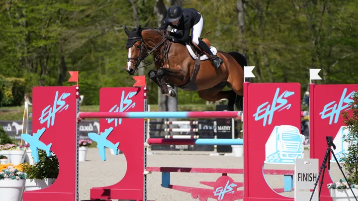 BWP-merrie Quick Diamant HR bevestigt klasse met zege in Compiègne