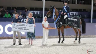 High Star Hero bewijst naam eer aan in Grote Prijs van Wellington