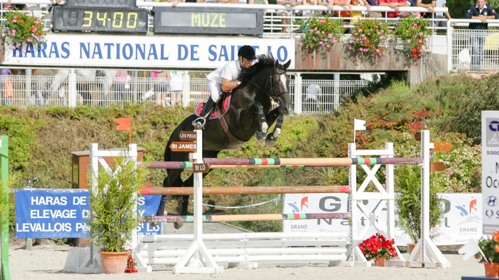 Très bonne compétitrice et excellente poulinière, Walloon de Muze nous a quittés.