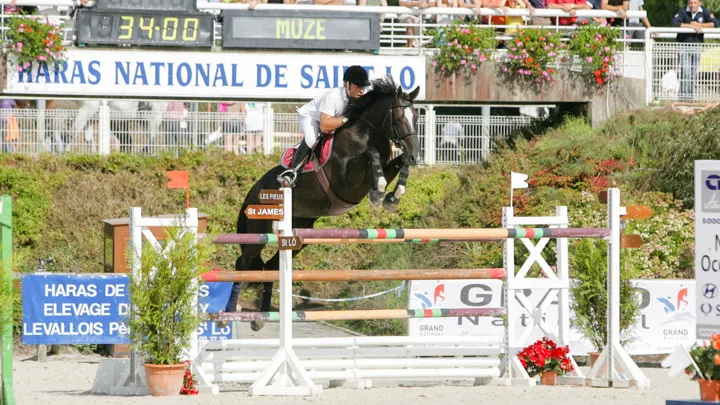 Très bonne compétitrice et excellente poulinière, Walloon de Muze nous a quittés.