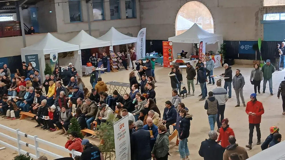 Eleveurs et passionnés se sont rassemblés à Saint-Etienne-de-Tulmont, dimanche 1er février, à l'occasion du salon des étalons du Grand Sud-Ouest. 