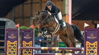 De finale start na de derde fase van de BWP-Hengstenkeuring omstreeks 13.30u