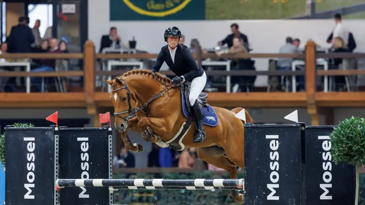 Nieuwe successen voor Vanderwegen in sterk bezette openingsrubriek