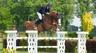 Comme Elle Faut Odth Z naar winst in viersterren Grote Prijs