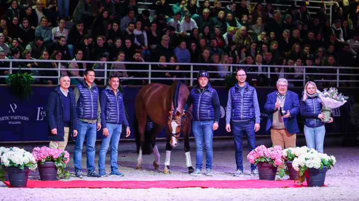 Lors du salon des étalons de Saint-Lô, l’équipe d’Artic Partners Stallions a entouré Cascadello I, étalon phare de leur catalogue, lors d’une mise à l’honneur.