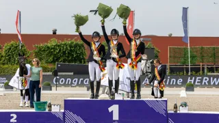 Podium Pony's