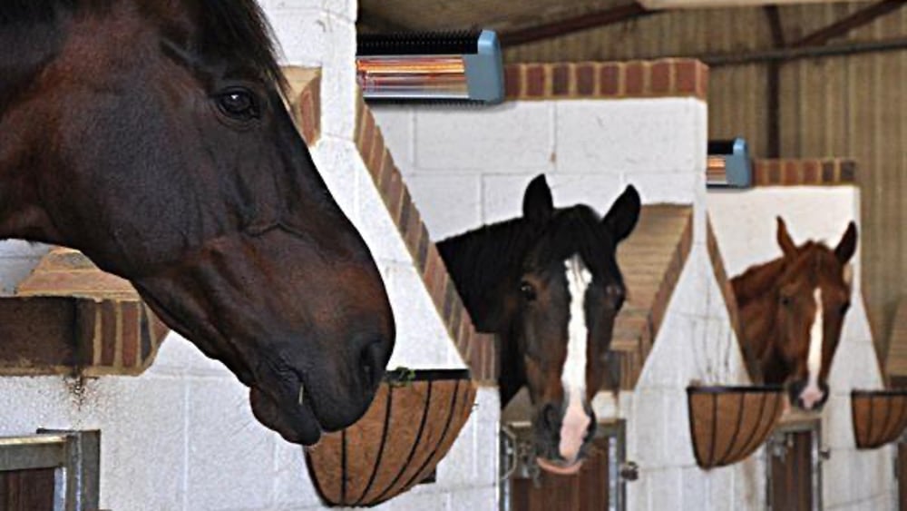 “Un solarium d’un autre type, pour une couverture complète du corps du cheval !”