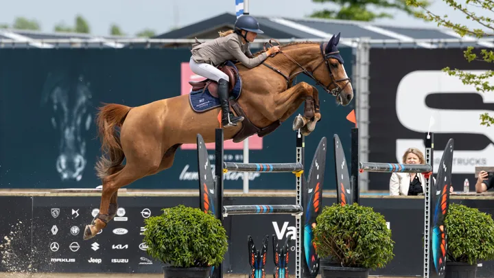 Overwinning voor Vermeir en Sunny Girl van den Eik