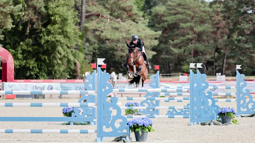 Champion des cinq ans entiers, Lupin d'Auville a été l'un des chevaux les plus en vue lors de la Grande Semaine de Fontainebleau.