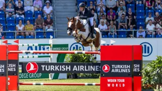 De volle broer of zus van Ping Pong van de Lentamel ging als veilingtopper onder de hamer