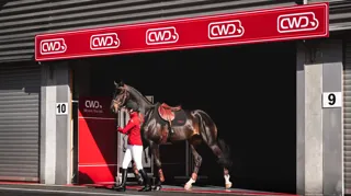 Lancée il y a un peu moins d’un an, CWD lance une campagne de communication liant équitation et Formule 1 – “Driven by Precision, Built for Victory” 