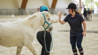 Un programme riche placé sous le signe de l'inclusion et de la diversité 