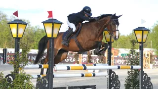 En selle sur Cadillac Sunheup, Louise Tison a triomphé dans l'épreuve majeure réservée aux Enfants.