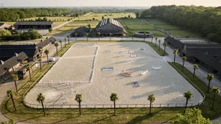 Haras de Hus, acteur incontournable de la reproduction équine en France et à l’international. 