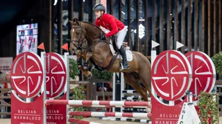 Wodka vd Bisschop werd vorig jaar kampioen van de keuring