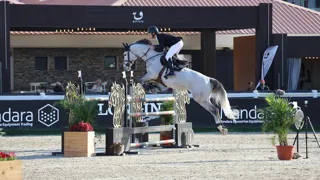 Podiumplaats voor Constant Van Paesschen in drie sterren Grote Prijs van Sharjah