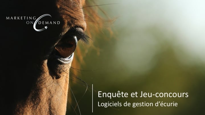 Marketing On Demand vous invite à participer à une enquête sur les logiciels de gestion d’écurie !