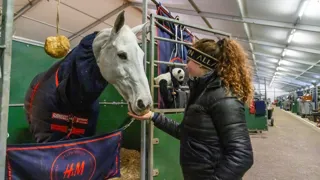 Aftellen naar een drukke internationale week