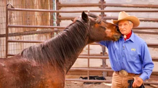 Mondialement connu pour sa méthode du Join-Up, Monty Roberts a contribué à populariser la remise en question des pratiques équestres traditionnelles à travers le monde. 