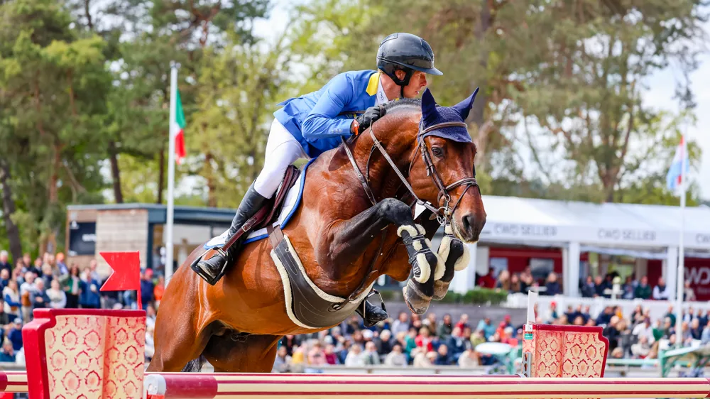 En avril 2025, Christian Ahlmann et D'Aganix 2000 s'étaient offert la troisième place d'une épreuve en deux manches à 1,55m.