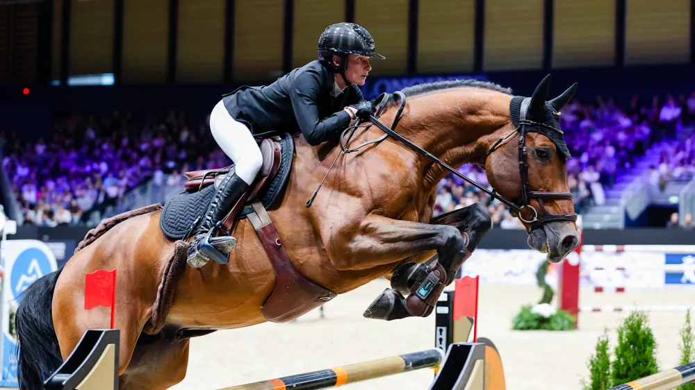 Sara Brionne et Grand Duc du Paradiso ont vécu une année de rêve en 2025.