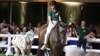 Flanders medewerkster Caitlin Teunissen met haar merrie en Jaxx CT Z (J-Nius V.V. Z), die 44.000 euro opbracht