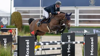 Van Olst schittert in Bonheiden met twee Comme il Faut-nakomelingen