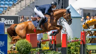 BWP'er Rebel van 't Zomerhof bezorgt Wathelet beste Belgische resultaat