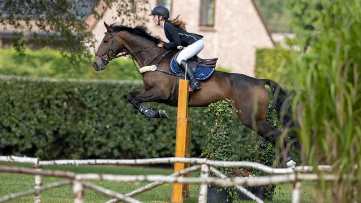  Michelle Malisart heerst in Turnhout & Baarle-Hertogh  