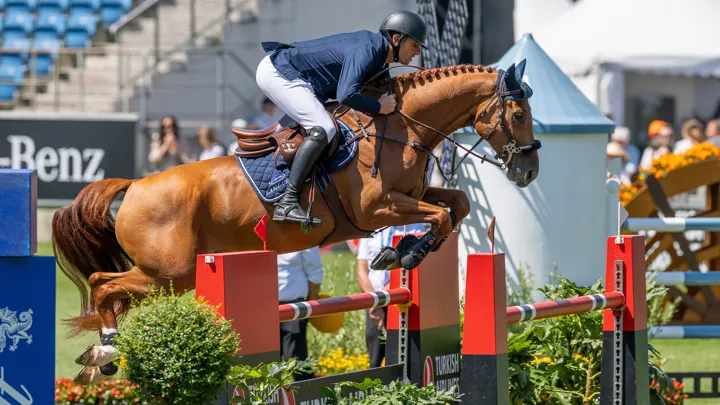 BWP'er Rebel van 't Zomerhof bezorgt Wathelet beste Belgische resultaat