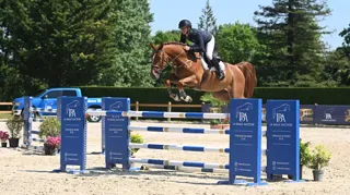 La Baule Auction revient le 13 juin 2026, en marge du Jumping International de La Baule, avec une sélection d’exception d’embryons, foals et chevaux de sport issus des meilleures lignées mondiales du saut d’obstacles.