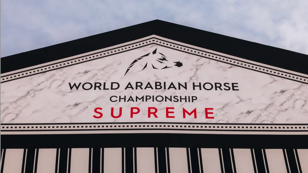 WAHC Supreme