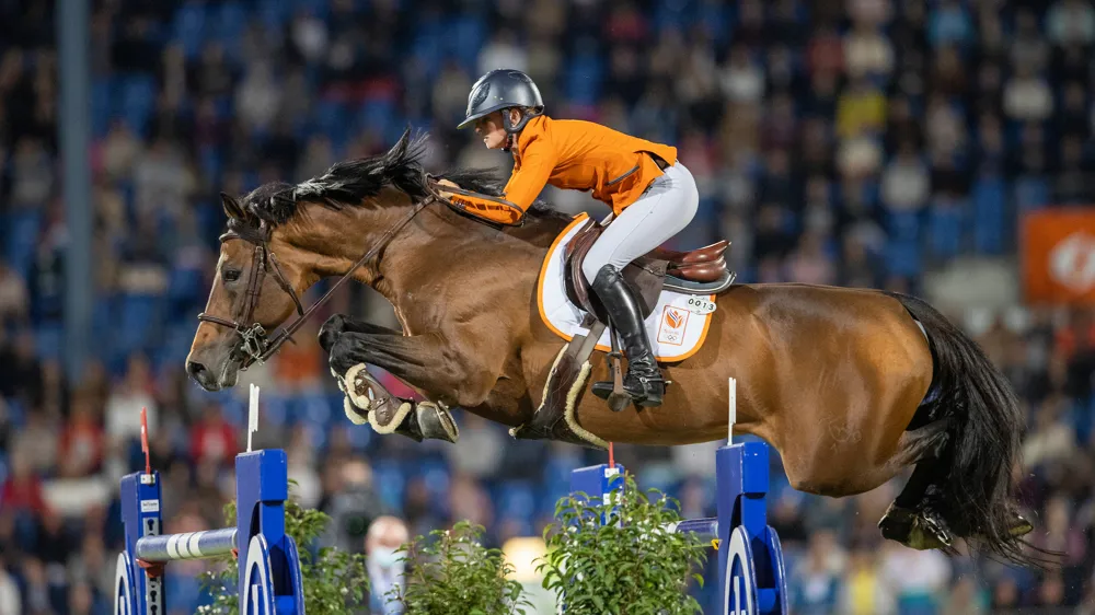 Sa fougue, sa détermination et son brillant ont permis à Con Quidam RB d’entrer dans le cœur de nombreux aficionados.