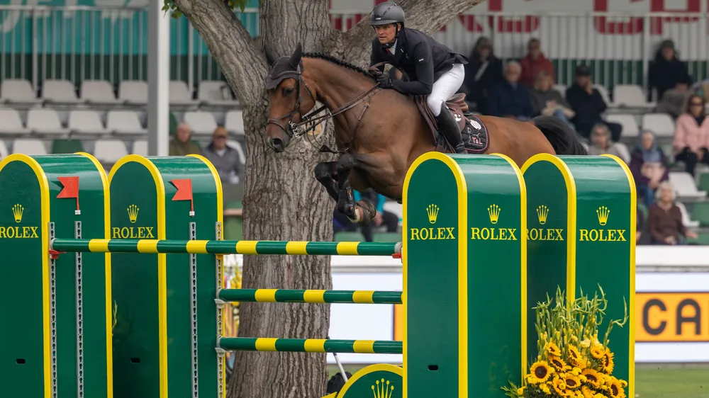 Voormalig toppaard van Frederic Vernaet keert terug naar België en duikt op bij H5 Stables