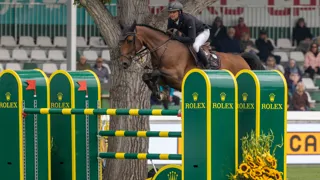 Voormalig toppaard van Frederic Vernaet keert terug naar België en duikt op bij H5 Stables