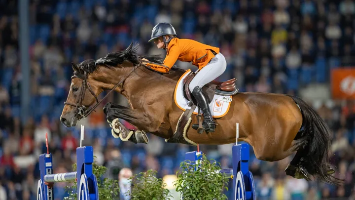 Sa fougue, sa détermination et son brillant ont permis à Con Quidam RB d’entrer dans le cœur de nombreux aficionados.