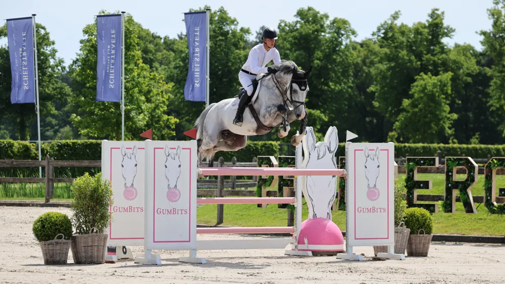 Kevin Jochems versterkt team met vier nieuwe internationale springpaarden, waaronder deze 8-jarige Spitfire V