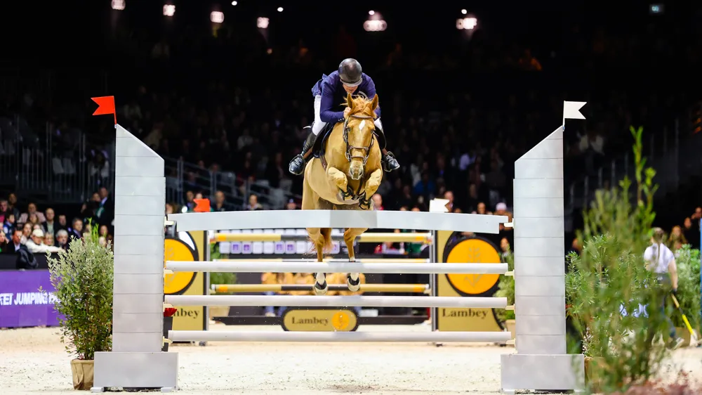 Fidèle parmi les fidèles, Roger-Yves Bost est de retour pour une nouvelle édition du Jumping international de Bordeaux.