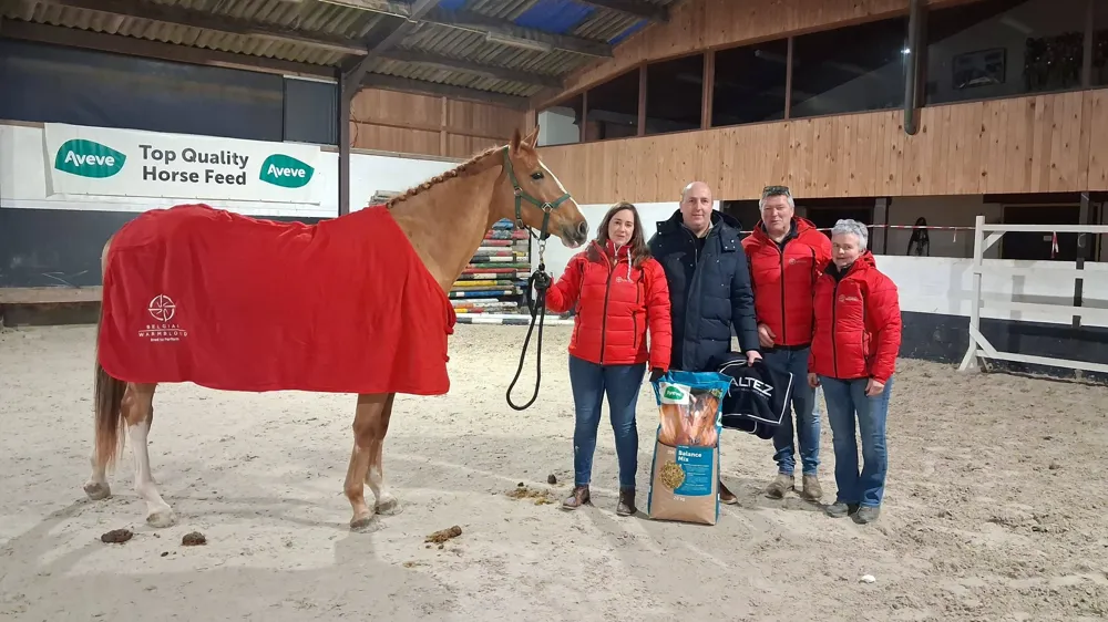 Dubbel succes voor Fokkerij van ’t Koningsbos op vrijspringen BWP Tienen
