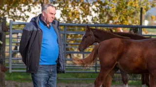 Maar liefst drie eigen fokproducten van Marc Kluskens namen deel aan het Wereldkampioenschap jumping