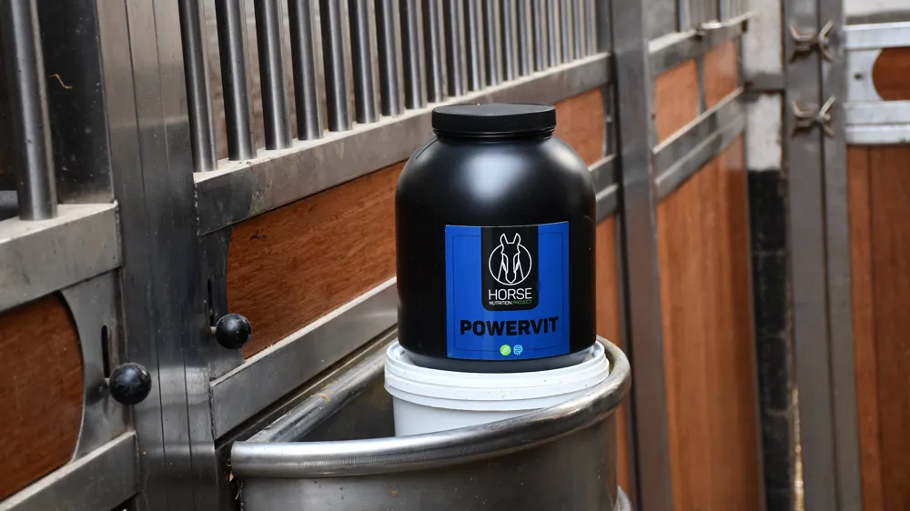 Horse Nutrition Project